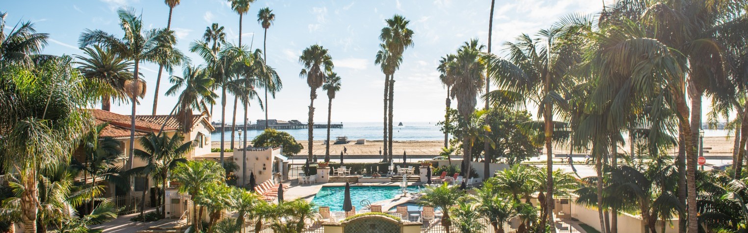 Pool and Garden area